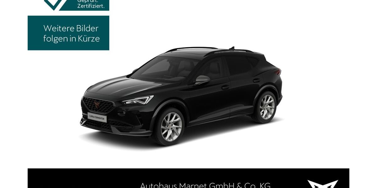 Cupra Formentor 13.305 km 26.990 &euro; Königstein 61462