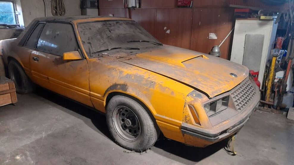 Mustang