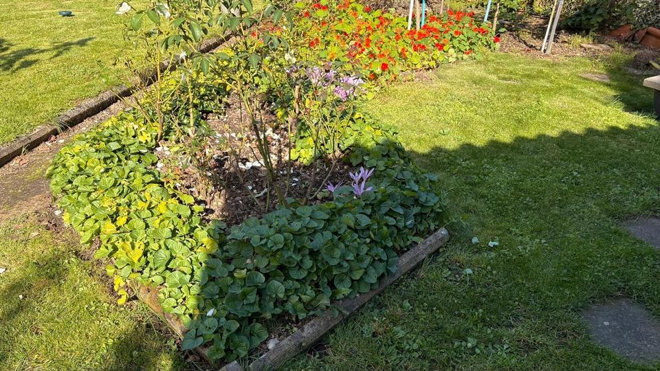 Grundstück Pirna - 2.000&euro; | Angebot:24576406