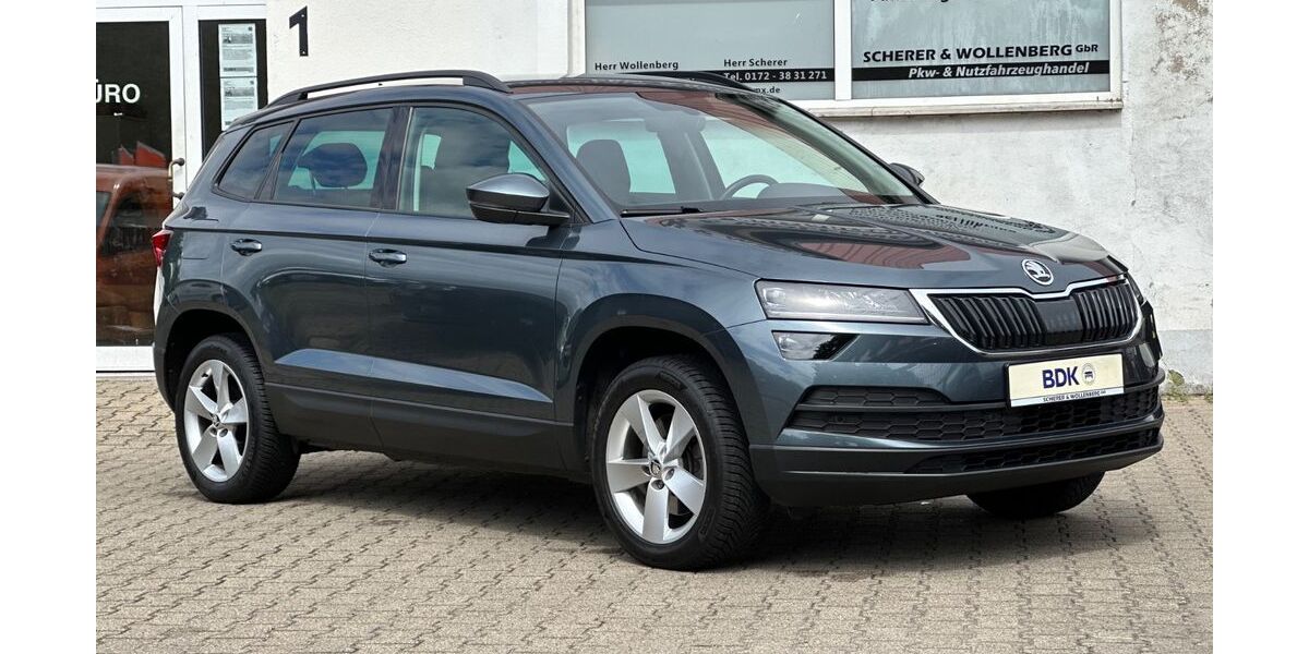 Skoda Karoq 63.095 km 17.950 &euro; Bandenitz 19230