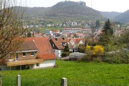 Grundstück Heubach - 235.000&euro; | Angebot:21397252