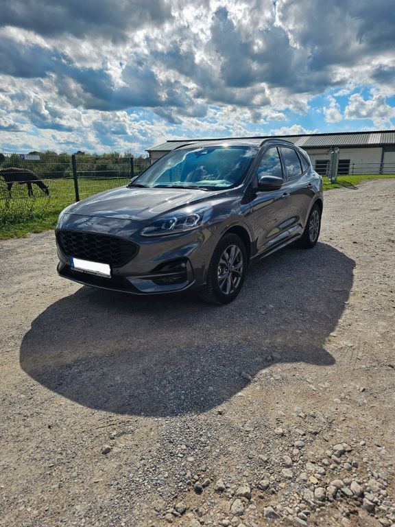 Kuga