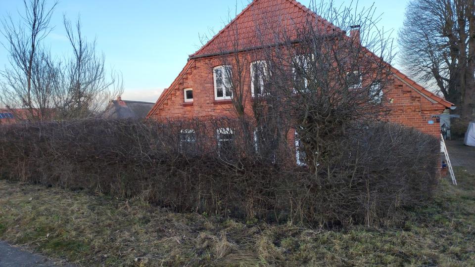 Einfamilienhaus Amt Neuhaus - 6 Zimmer, 160 m&sup2;, 300.000&euro; | Angebot:25724651