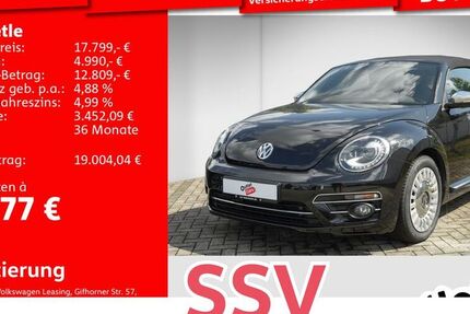 VW Beetle