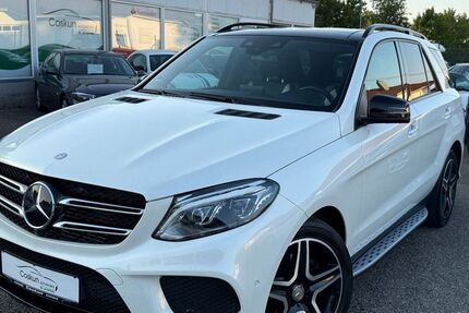 Mercedes-Benz GLE 350 195.000 km 32.490 &euro; Schömberg 72355