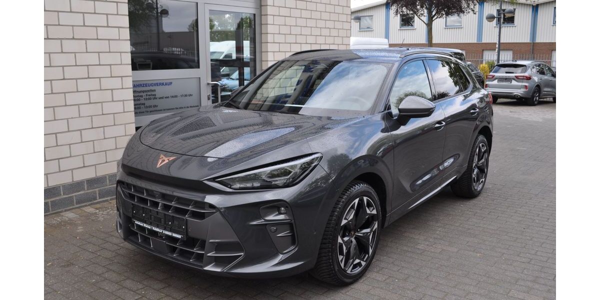 Cupra Terramar 13.777 km 37.980 &euro; Schüttorf 48465