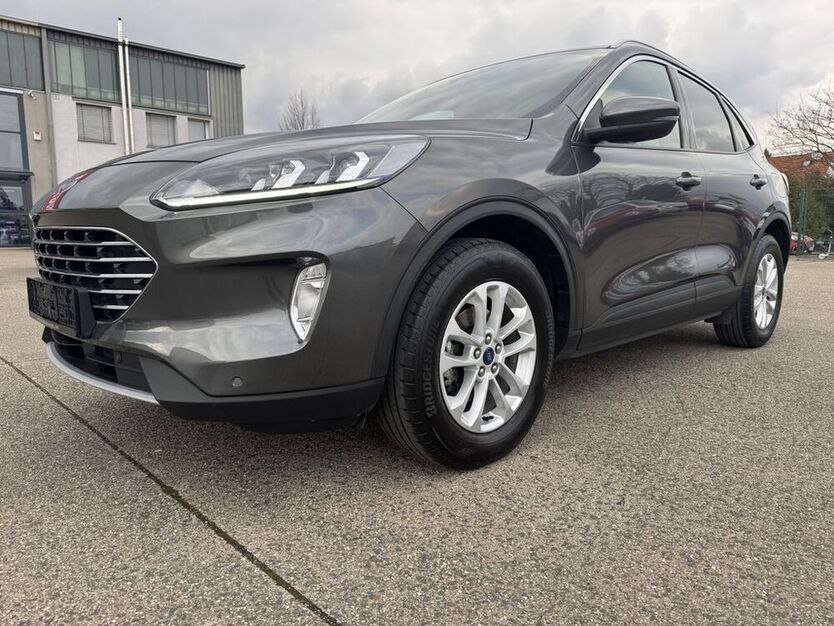 Kuga