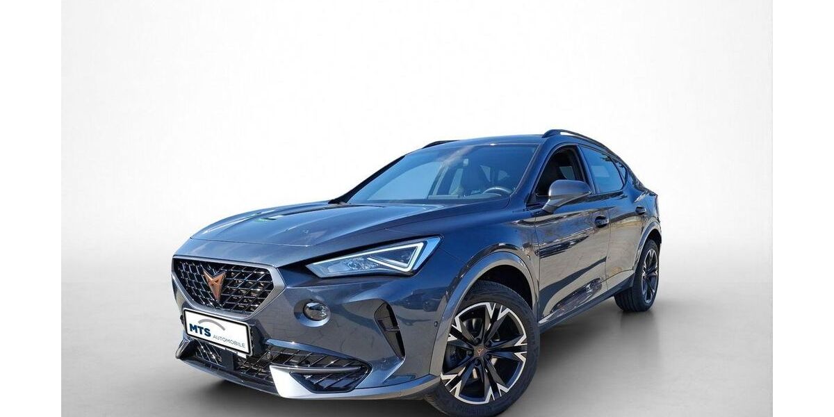 Cupra Formentor 48.301 km 27.150 &euro; Friedberg 61169