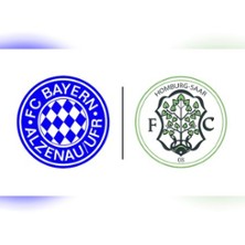 FC Bayern Alzenau - FC 08 Homburg 08.11.2025 MAIREC-Arena