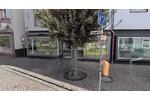 Gewerbeobjekt Wetter (Hessen) - 600&euro; | Angebot:24599399