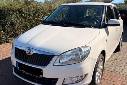 Skoda Fabia 192.000 km 3.900 &euro; Otter 21259