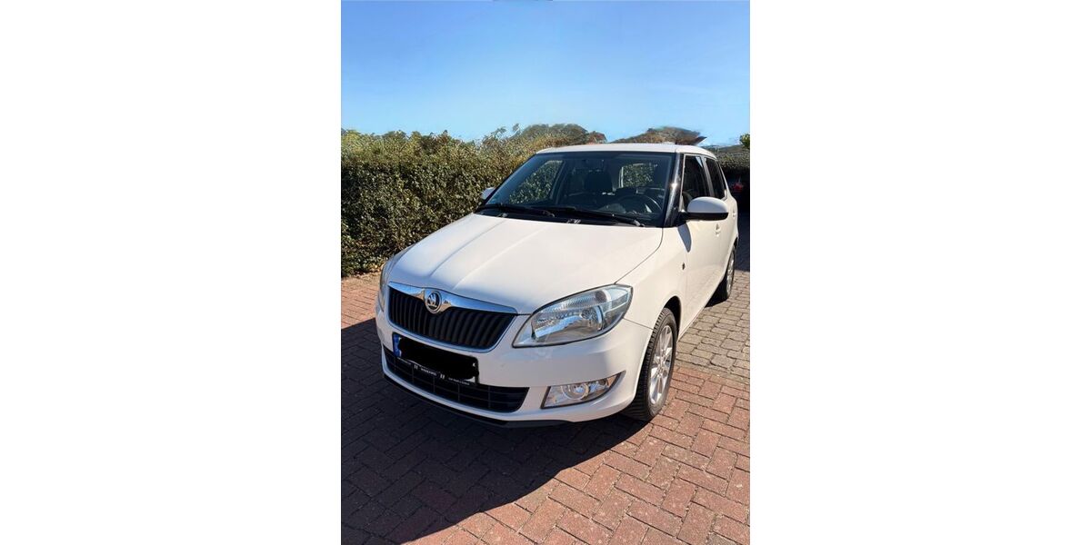 Skoda Fabia 192.000 km 3.900 &euro; Otter 21259