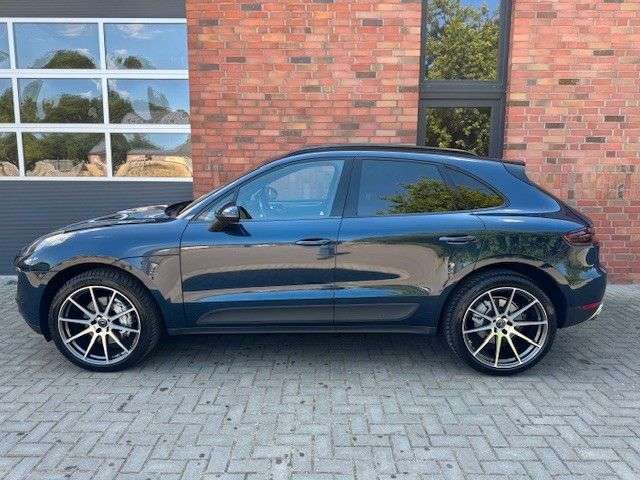 Macan