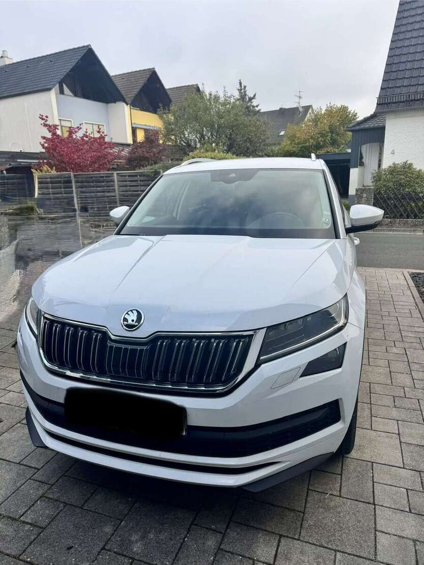 Skoda Kodiaq 48.530 km 31.000 € Lauf 91207