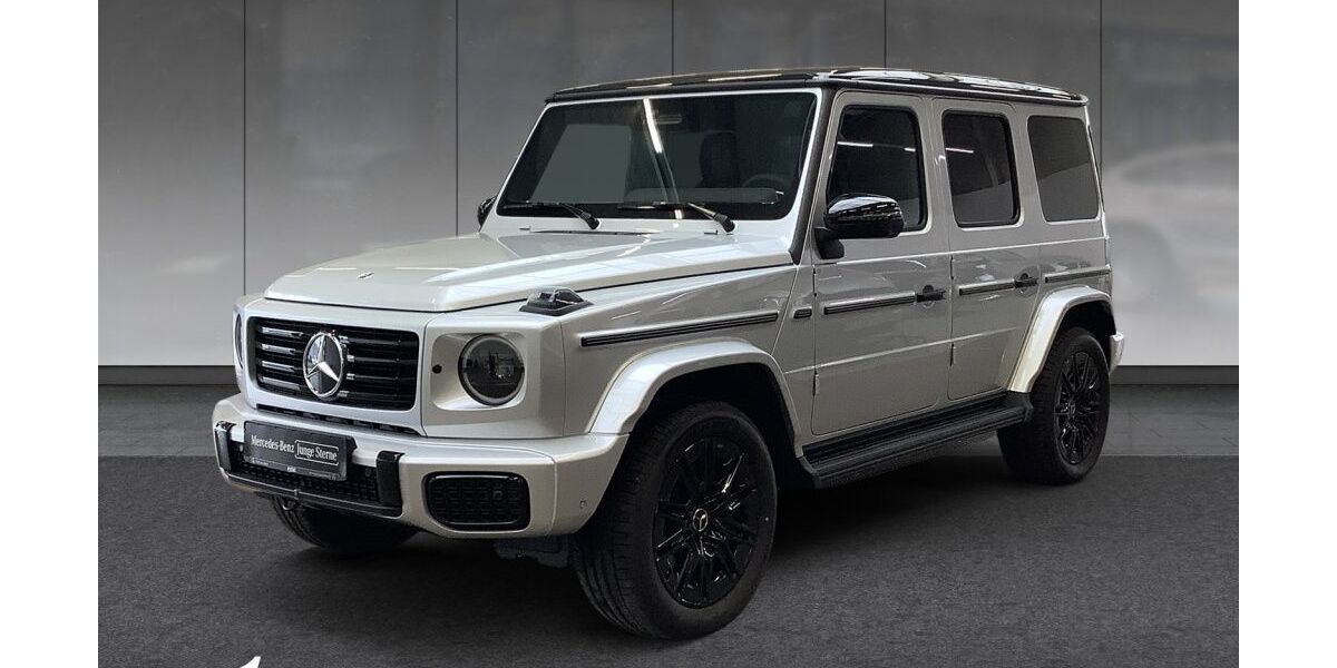 Mercedes-Benz G 450 3.003 km 173.808 &euro; Nordhausen 99734