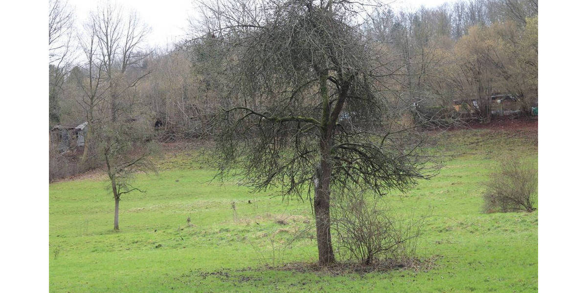 Grundstück Schmalkalden - 175.000&euro; | Angebot:25660579