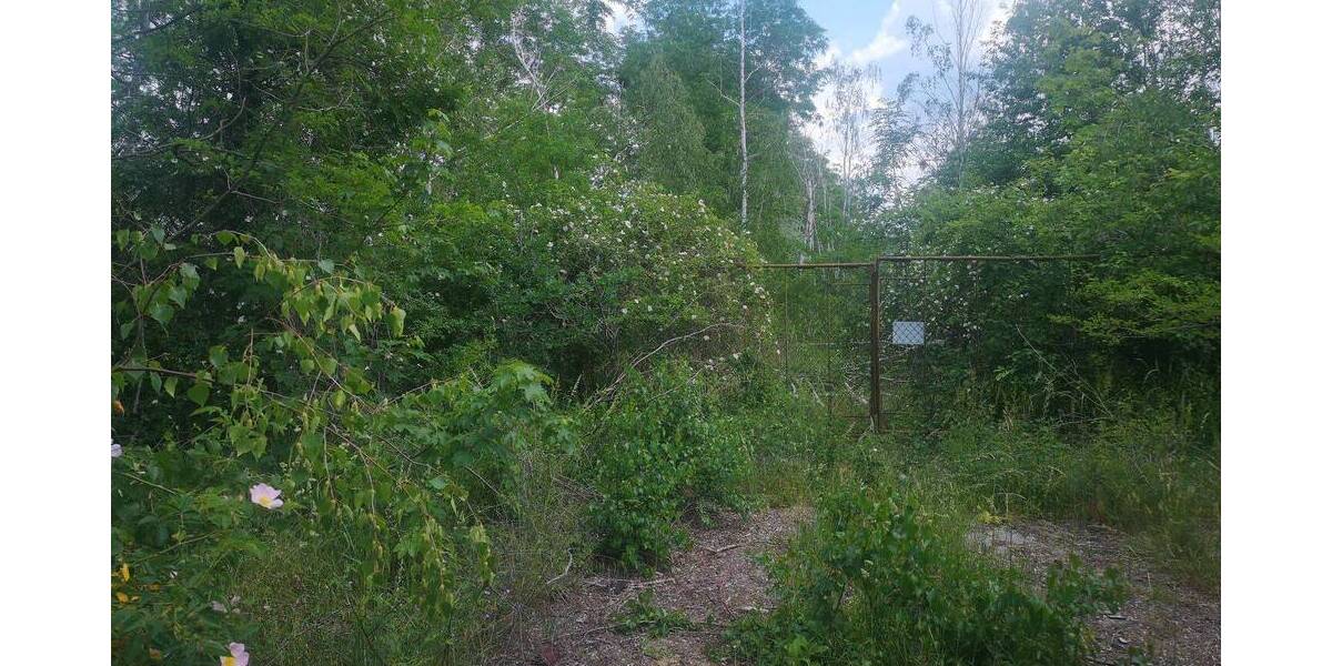 Grundstück Eilenburg - 2.999.000&euro; | Angebot:25958960