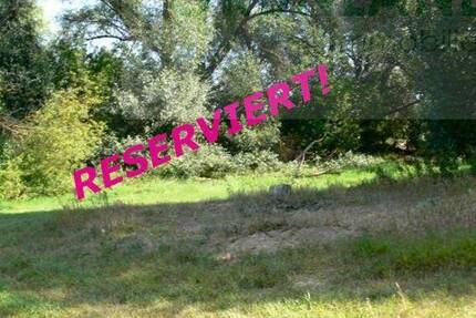 *Großzügiges Grundstück in Buschdorf zu verkaufen*! zimmer