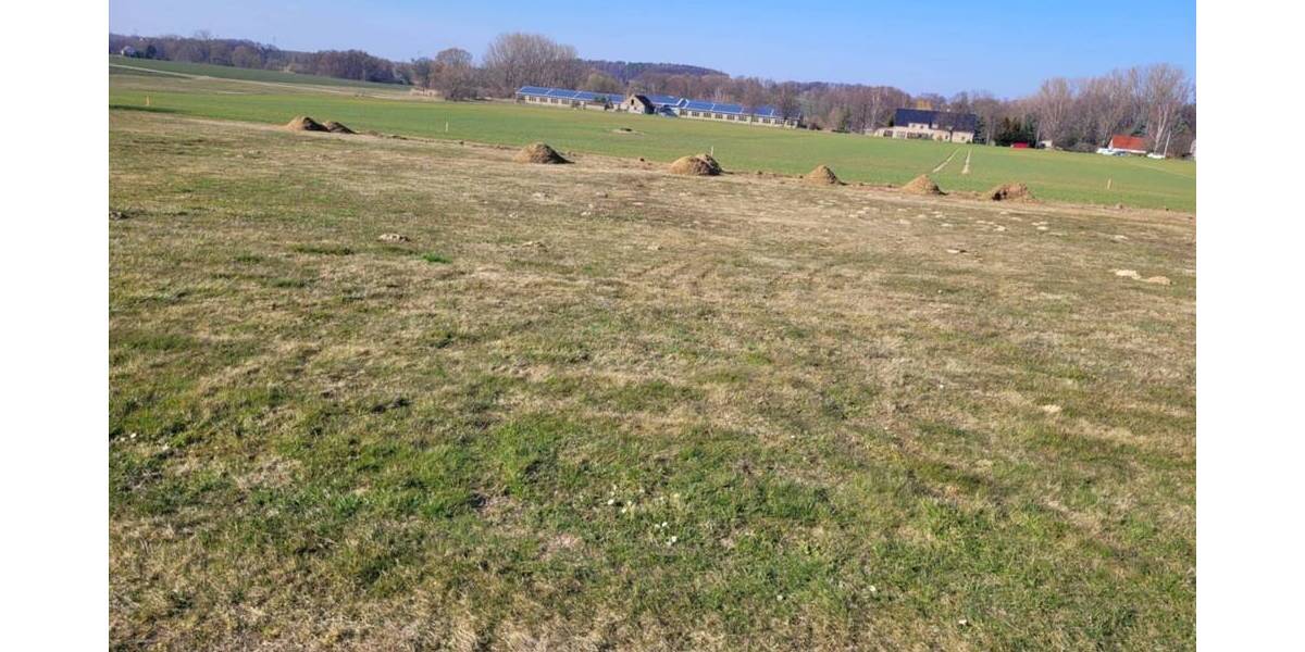 Grundstück Göda Siebitz - 96.400&euro; | Angebot:25779387