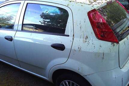 Fiat Punto 227.654 km 950 &euro; Mannheim 68309