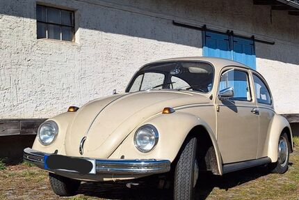 VW Käfer 92.874 km 7.990 &euro; Halenbeck 16945