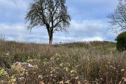 Grundstück Sinzing Bergmatting Bergmatting - 199.000&euro; | Angebot:23826439