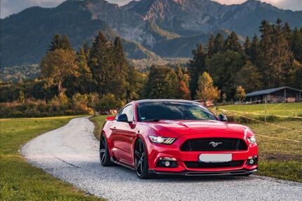 Ford Mustang 52.000 km 49.900 &euro; Waldenburg 74638