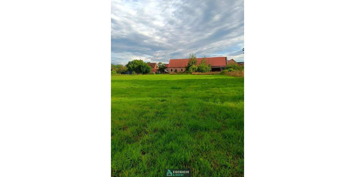 Bauernhaus, Landhaus Löwenberger Land Grieben - 1 Zimmer, 290 m&sup2;, 249.000&euro; | Angebot:25752302