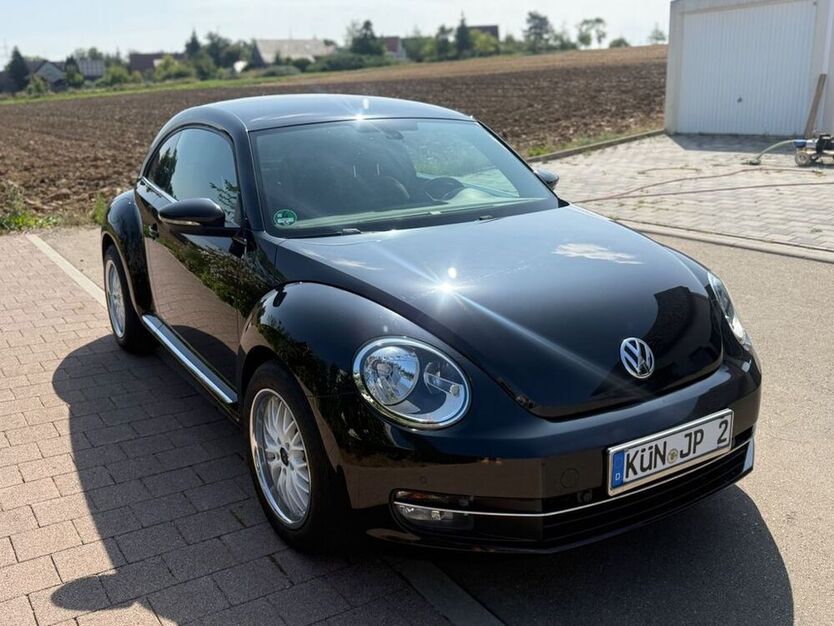Beetle