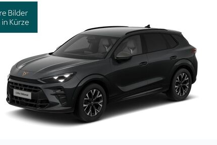 Cupra Terramar 27.198 km 32.730 &euro; Hofheim-Diedenbergen 65719