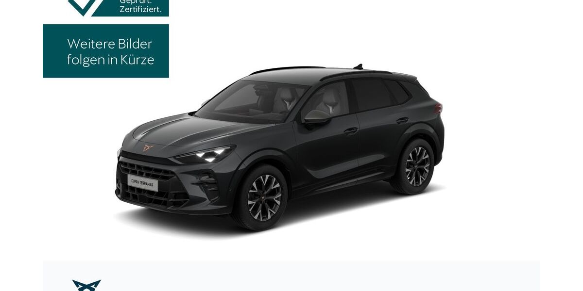 Cupra Terramar 27.198 km 32.730 &euro; Hofheim-Diedenbergen 65719
