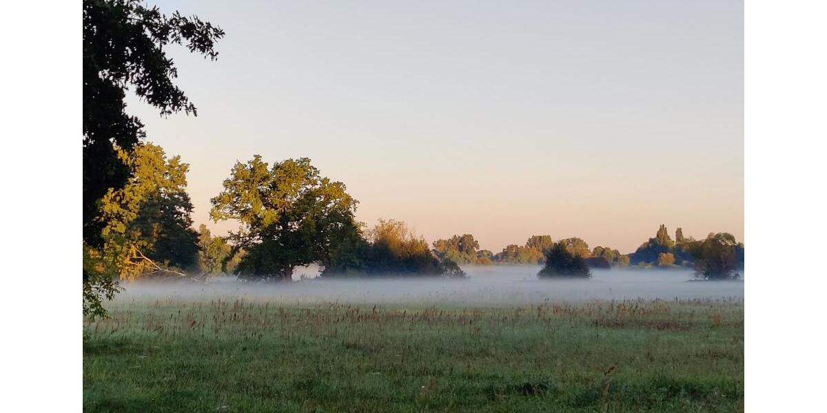 Wohnung an den Sachsendorfer Wiesen zu vermieten 3 zimmer