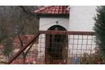 Einfamilienhaus Bad Salzungen - 68.500&euro; | Angebot:26442905
