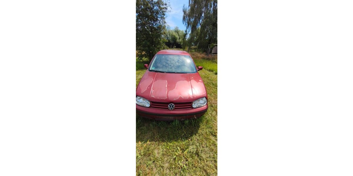 VW Golf 204.000 km 800 &euro; Wusterhausen 16868