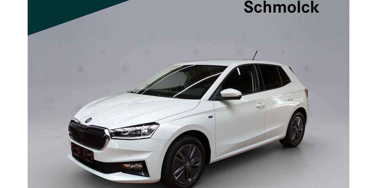 Skoda Fabia 10.000 km 17.890 &euro; Emmendingen 79312