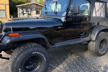 Jeep Wrangler 196.000 km 9.490 &euro; Linau 22959
