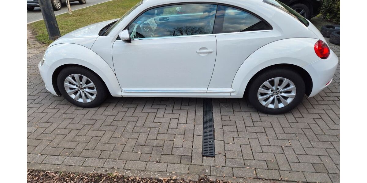 VW Beetle 101.000 km 8.000 &euro; Bremen 28197