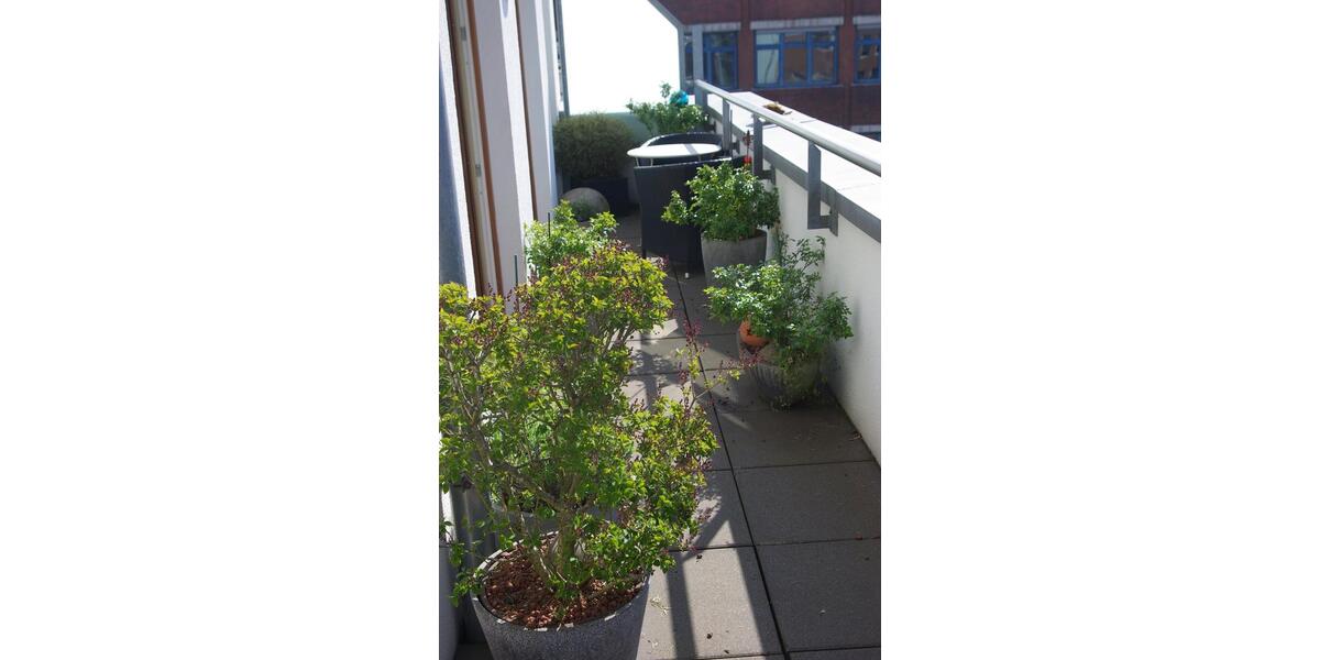 Etagenwohnung Winsen (Luhe) - 2 Zimmer, 60 m&sup2;, 270.000&euro; | Angebot:24746610