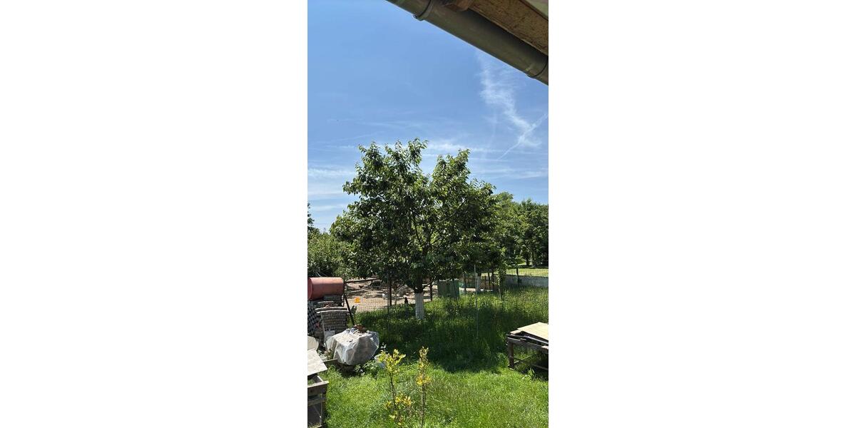 Einfamilienhaus Osterhofen - 6 Zimmer, 145 m&sup2;, 499.000&euro; | Angebot:27081386