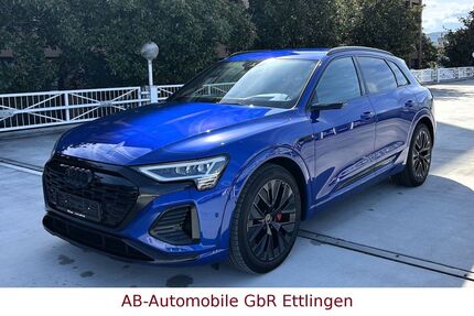 Audi Q8 e-tron 19.950 km 54.900 &euro; Ettlingen 76275