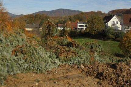 Doppelhaushälfte in erstklassiger Wohnlage 4 zimmer