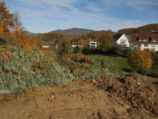 Doppelhaushälfte in erstklassiger Wohnlage 4 zimmer