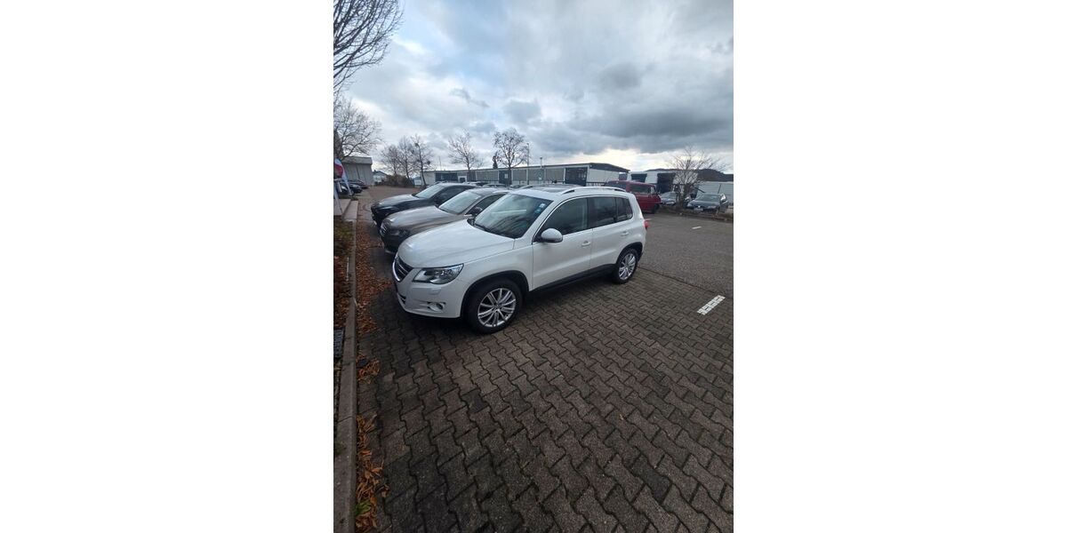 VW Tiguan 254.000 km 6.499 &euro; Altbach 73776