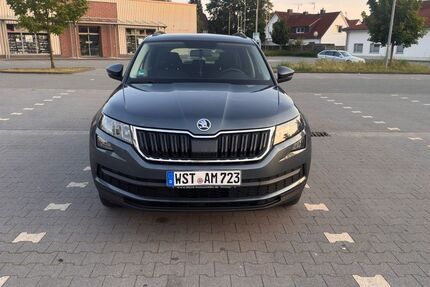 Skoda Kodiaq 248.000 km 12.000 &euro; Bad Zwischenahn 26160