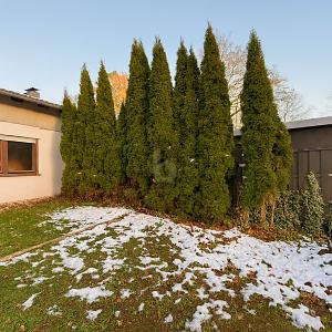 MÖHNESEEENTKERNTES HAUS MIT SEE-NÄHE - Einfamilienhaus Möhnesee | Angebot:26768636