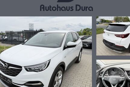 Opel Grandland (X) 166.650 km 15.950 &euro; Rüsselsheim 65428