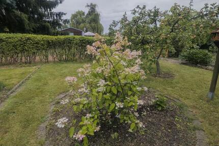 Grundstück Hohenstein-Ernstthal Ernstthal - 3.000&euro; | Angebot:23279495