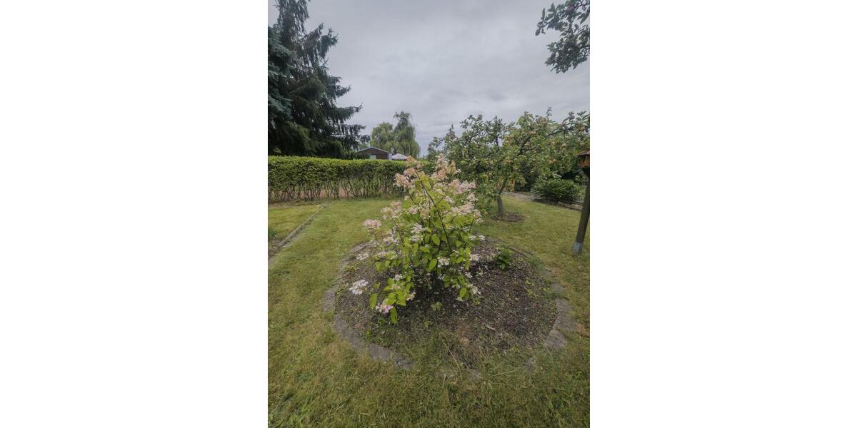 Grundstück Hohenstein-Ernstthal Ernstthal - 3.000&euro; | Angebot:23279495