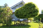 Einfamilienhaus Mühlhausen (Thüringen) - 380.000&euro; | Angebot:26816000