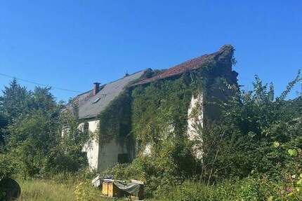 Grundstück Wadern Büschfeld - 130.000&euro; | Angebot:24320435